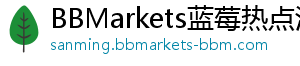 BBMarkets蓝莓热点汇聚